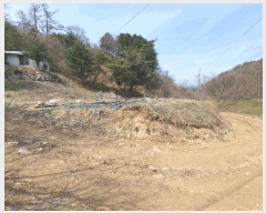  2025Ÿ330  ȫõ ȫõ ︶ġ 956-5      ð