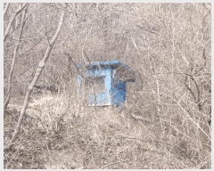  2025Ÿ330  ȫõ ȫõ ︶ġ 956-5      ð