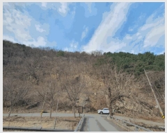  2025Ÿ330  ȫõ ȫõ ︶ġ 956-5      ð