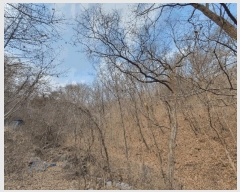  2025Ÿ330  ȫõ ȫõ ︶ġ 956-5      ð