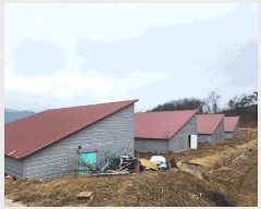  2025Ÿ��460 ���� ȫõ�� ���͹̸� ��� 824      ���(�󰡽ü�)���