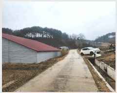  2025Ÿ��460 ���� ȫõ�� ���͹̸� ��� 824      ���(�󰡽ü�)���