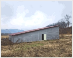  2025Ÿ��460 ���� ȫõ�� ���͹̸� ��� 824      ���(�󰡽ü�)���