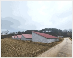  2025Ÿ��460 ���� ȫõ�� ���͹̸� ��� 824      ���(�󰡽ü�)���