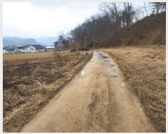  2025Ÿ��460 ���� ȫõ�� ���͹̸� ��� 824      ���(�󰡽ü�)���