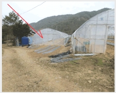  2025Ÿ705  ȫõ  ϸ 176-9      ð