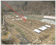  2025Ÿ705  ȫõ  ϸ 176-9      ð