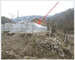  2025Ÿ705  ȫõ  ϸ 176-9      ð