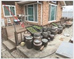  2025Ÿ705  ȫõ  ϸ 176-9      ð