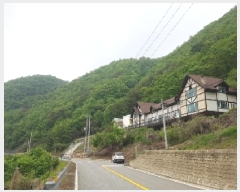  2025Ÿ903  ȫõ Ϲ ׸ 12-5      (Ӿ)