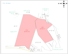  2025Ÿ903  ȫõ Ϲ ׸ 12-5      (Ӿ)