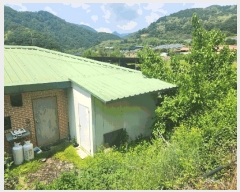  2025Ÿ972  ȭõ ϳ  823      ð