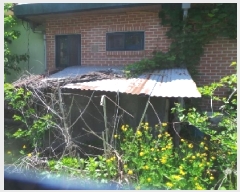  2025Ÿ972  ȭõ ϳ  823      ð