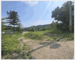  2025Ÿ1104  õ ǵ 443       ()