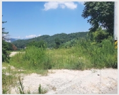  2025Ÿ1104  õ ǵ 443       ()