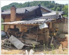  2025Ÿ1142   ϸ 븮 1437-1      ð