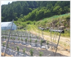  2025Ÿ��1142  �����