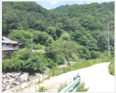  2025Ÿ1142   ϸ 븮 1437-1      ð