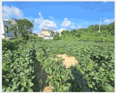  2025Ÿ��1227 ���� ��õ�� �ŵ��� ���� 903-8      ����(��1)���