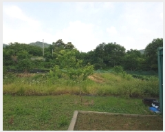  2025Ÿ��1227 ���� ��õ�� �ŵ��� ���� 903-8      ����(��1)���