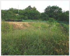  2025Ÿ��1227 ���� ��õ�� �ŵ��� ���� 903-8      ����(��1)���