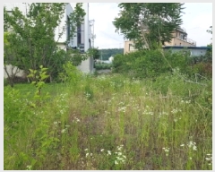  2025Ÿ��1227 ���� ��õ�� �ŵ��� ���� 903-8      ����(��1)���