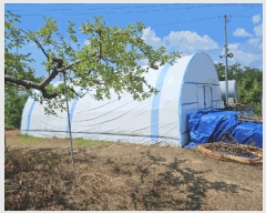  2025Ÿ��1265  ���������