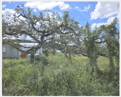  2025Ÿ��1265  ���������