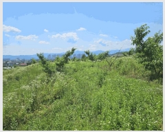  2025Ÿ��1265  ���������