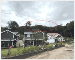  2025Ÿ��1425  �Ӿ߰��