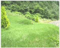  2025Ÿ��1463 ���� ȫõ�� ���� ������ 1307      ����(�Ӿ�)���