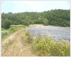  2025Ÿ��1463 ���� ȫõ�� ���� ������ 1307      ����(�Ӿ�)���