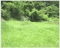  2025Ÿ��1463 ���� ȫõ�� ���� ������ 1307      ����(�Ӿ�)���