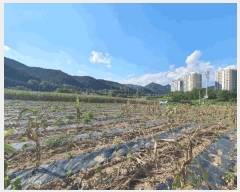  2025Ÿ��1548 ���� ������ ���� ��и� ��78-1      ����(�Ӿ�)���