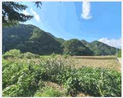  2025Ÿ��1548 ���� ������ ���� ��и� ��78-1      ����(�Ӿ�)���