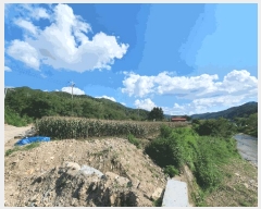  2025Ÿ��1548 ���� ������ ���� ��и� ��78-1      ����(�Ӿ�)���