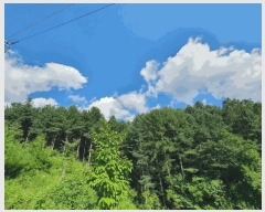  2025Ÿ��1548 ���� ������ ���� ��и� ��78-1      ����(�Ӿ�)���