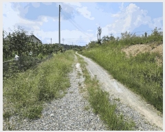  2025Ÿ��1661 ���� ȫõ�� ���� ��õ�� 235-17      ��,�繫�ǰ��