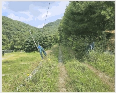  2025Ÿ��1661 ���� ȫõ�� ���� ��õ�� 235-17      ��,�繫�ǰ��