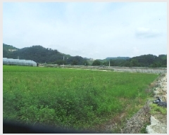  2025Ÿ��1708 ���� �籸�� �������߾Ӹ� ���̸� 405-8      ����(��)���