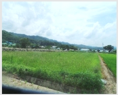  2025Ÿ��1708 ���� �籸�� �������߾Ӹ� ���̸� 405-8      ����(��)���