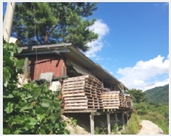  2025Ÿ��1982  ���(ķ����)���