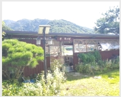  2025Ÿ��1982  ���(ķ����)���