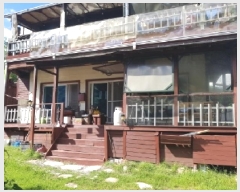  2025Ÿ��1982  ���(ķ����)���