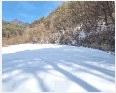  2025Ÿ50281     377-1      (1)