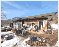  2025Ÿ50281     377-1      (1)