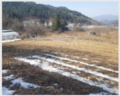  2025Ÿ50281     377-1      (1)