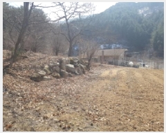  2025Ÿ50281     377-1      (1)