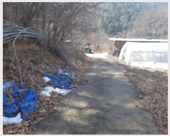  2025Ÿ50281     377-1      (1)