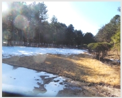  2025Ÿ50441  õ ź õ 705-4      (1)